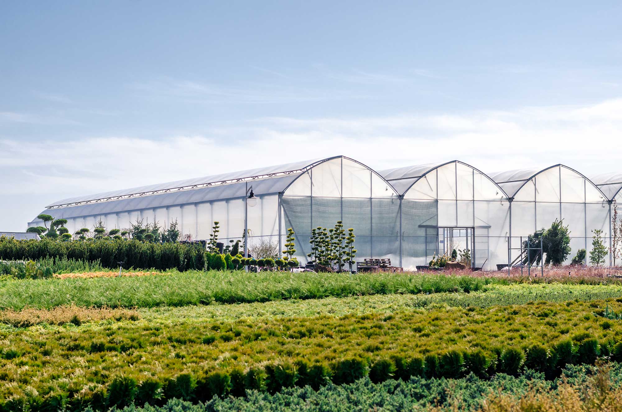 Мониторинг теплиц и тепличных комплексов